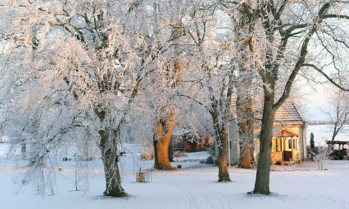 das ferienhaus steht in einer weißen parklandschaft und ist von der sonne erleuchtet