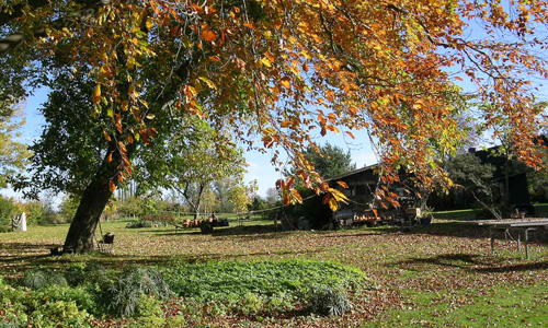 Impressionen vom Hof