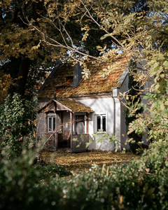Herbst