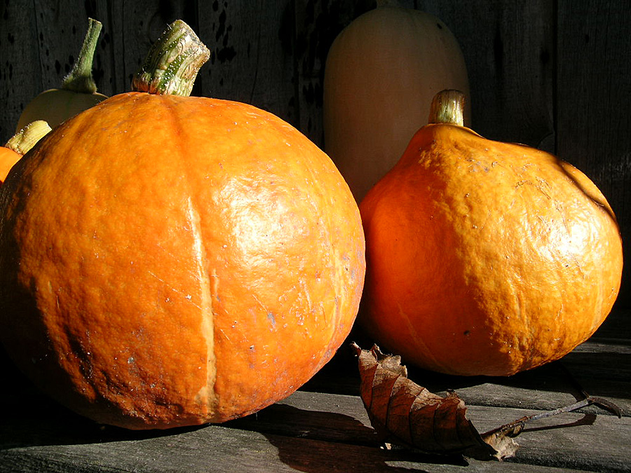 Herbst